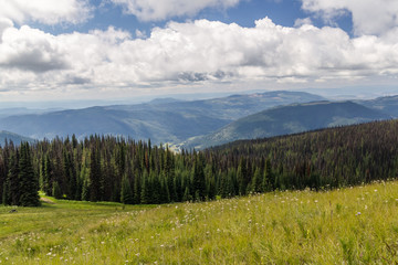 Beautiful view of the Alpine meados at Sun Peaks