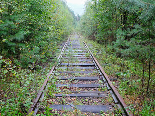 old overgrown railroad