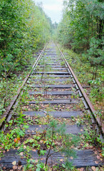 old overgrown railroad