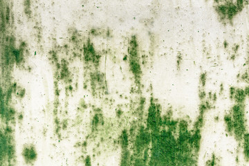 Panel rust