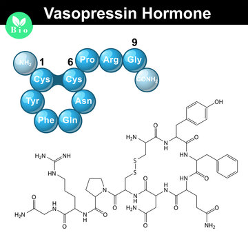 vasopressine