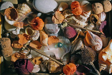 still life