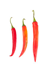 red chili or chilli cayenne pepper..