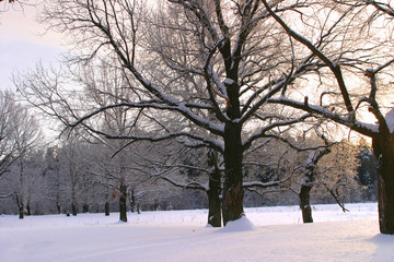 Fototapeta na wymiar winter day