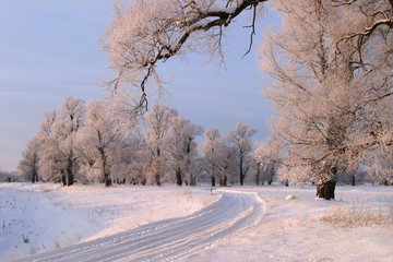 Obraz premium winter day