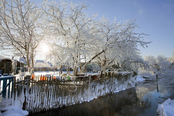 Fototapeta premium sunny winter day