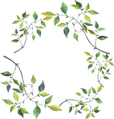 Green branches drawn by watercolor on white background. Hand drawn vector illustration.