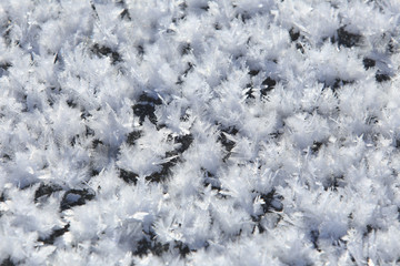 texture of the snow