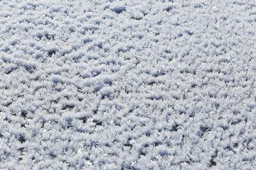 texture of the snow