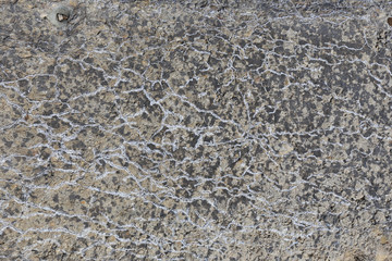 concrete texture