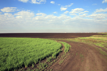 dirt road in a field