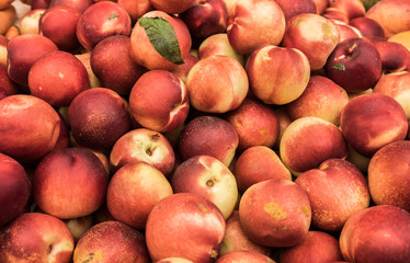 Nectarines for sell at the city market