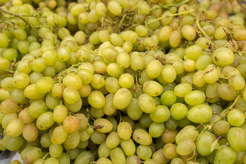 Green-yellow grapes for sale at city farmers market
