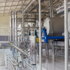 Equipment in workshop of primary grapes processing in modern winery