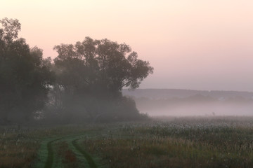 marvelous misty morning