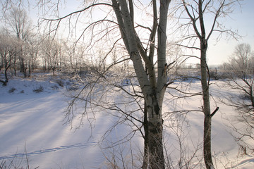 Winter on the river