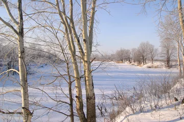 Foto auf Leinwand Winter on the river © salman2