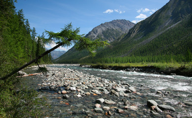 Fototapeta premium mountain River. East Sayan river Shumak