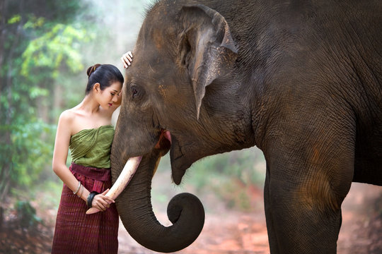Asia pretty girl standing front to a collision with an elephant.