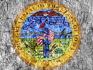 Grudge stone painted US Iowa seal flag
