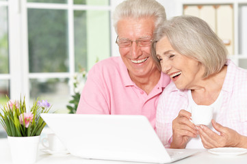 Senior couple  with laptop