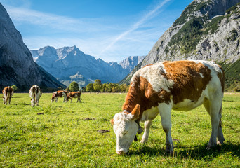 karwendel mountains