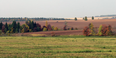Fototapeta na wymiar autumn fields