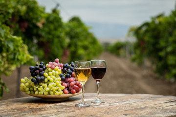 White and red wine in vineyard.