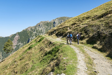 Panorama alpino