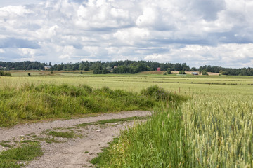 Dirt Road on a Farm