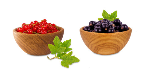 red and black currant isolated on white