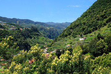 The beautiful Ribeira de Machico Valley, viewed  from the levada do Canico, Madeira.   © dianamower