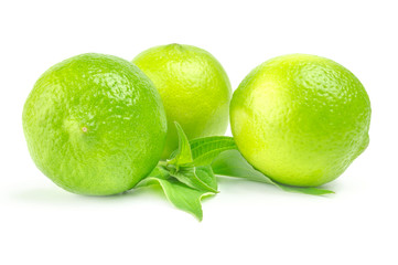 Three fresh limes with leaves Isolated on white