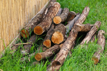 Pile of wood logs on grass