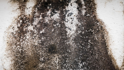 Abstract cement wall  or street floor texture background..