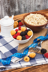Portion of oatmeal in the bowl with different berries