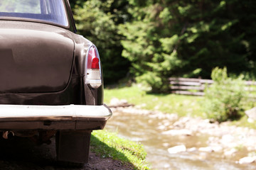 Car near the forest