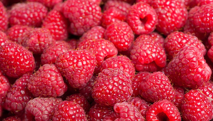 Fresh raspberries