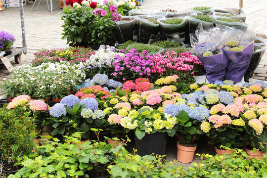 Blumenverkauf auf einem Marktplatz
