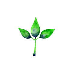 Watercolor green leaves on white background. Eco concept