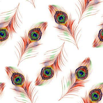 Watercolor peacock feather seamless pattern on white background