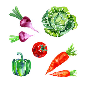 watercolor vegetables set, food illustration on white background