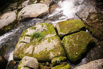 Beautiful stones in the river