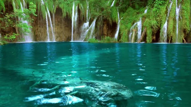 Forest lake in summer. Many waterfalls and clear water. Seamless loop. UHD