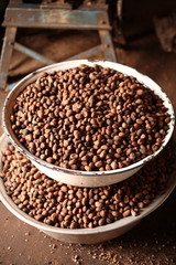 Seeds of shea tree Mubanayili Gana
