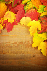 Obraz na płótnie Canvas autumn leaves