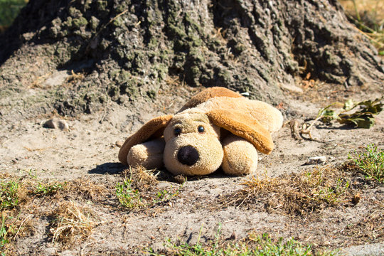 Lost Stuffed Animal Lost On The Market