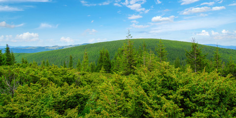Fototapeta na wymiar Mountain landscape in the summer