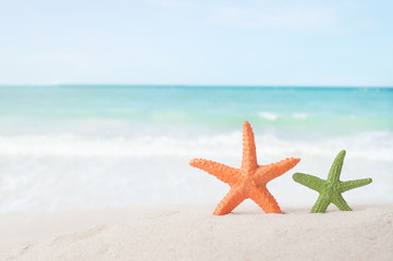 Fototapeta na wymiar Starfish with sea shell - Best for Web Use