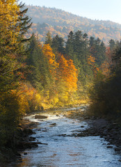 Landscape mountain river in autumn forest at sunlight.